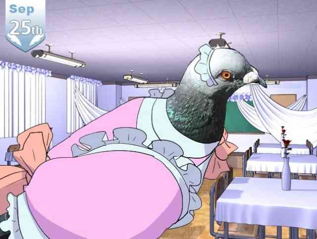 Hatoful boyfriend прохождение