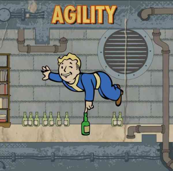 agility 7