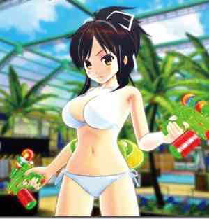 VIZ  Blog / Senran Kagura: Peach Beach Splash