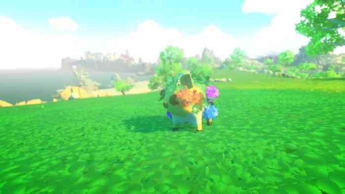 Yonder Switch Photo Mode