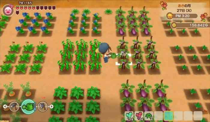 Harvest Moon: Friends of Mineral Town Remake
