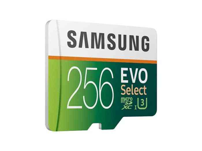Samsung Electronics EVO Select 256GB microSD