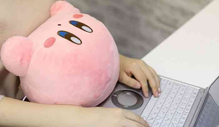 Warm Plushie Kirby being cuddled by someone sitting at a laptop.