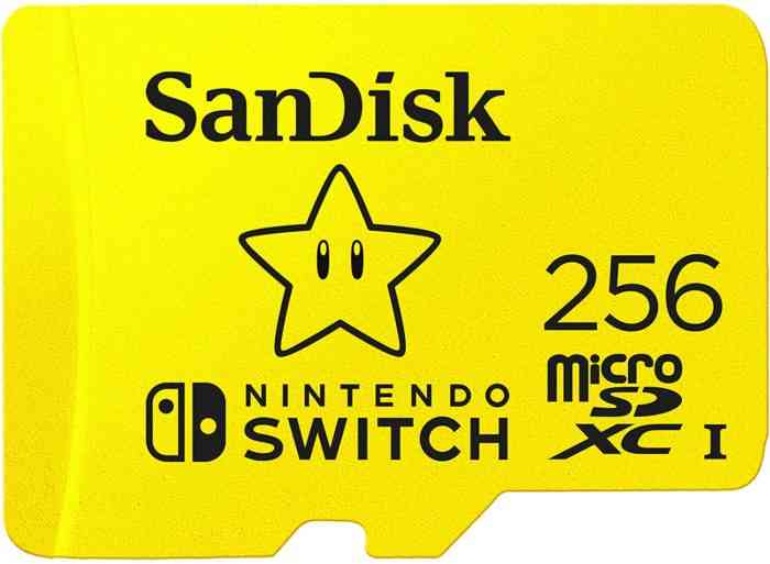 SanDisk Switch Chip