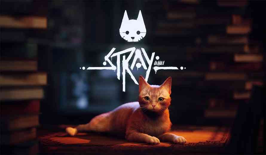 Cat Video Game Coming in July