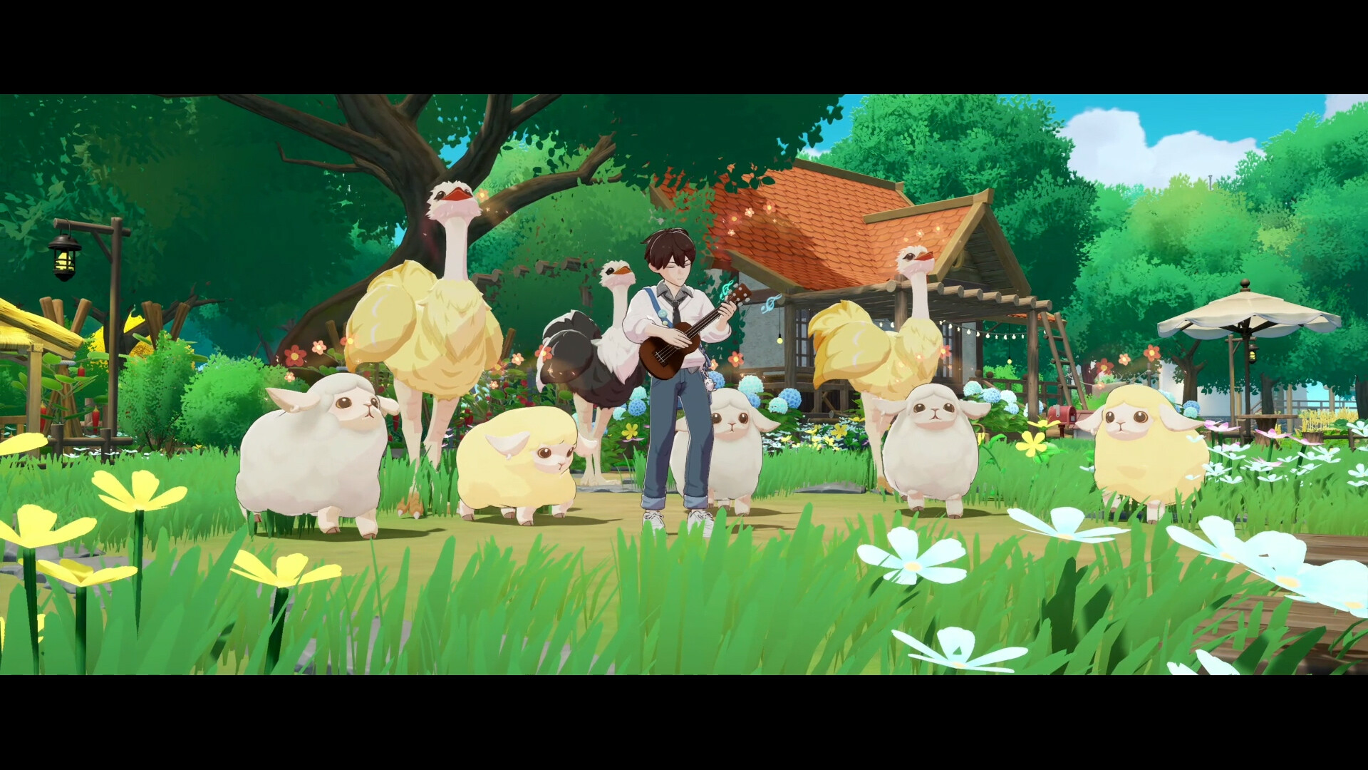 Starsand Island instrument playing