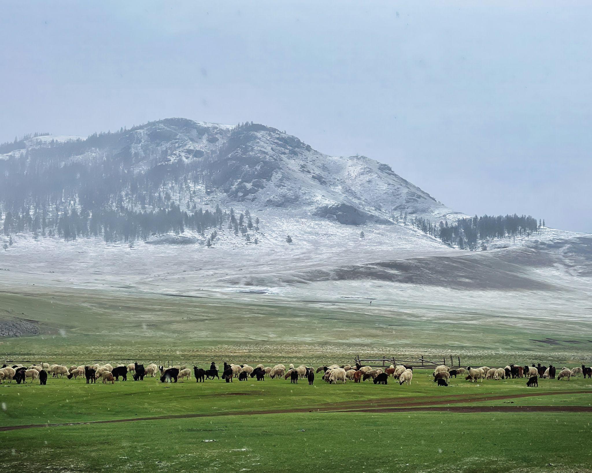 Naadam in Modern Entertainment: How Wrestling, Horse Racing and Archery Influence Game Design